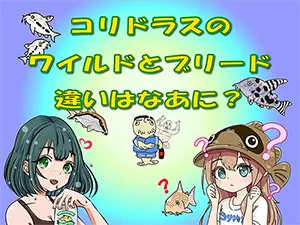 タイトルアイキャッチ
